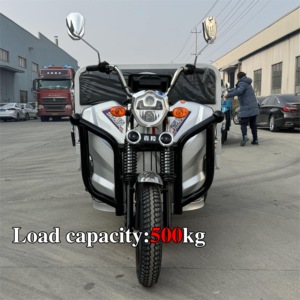 รถสามล้อแบบมีห้องโดยสาร LB-LB160GY ผลิตอย่างมืออาชีพ พร้อมมอเตอร์กำลังสูง 60V1000W - Product Image 3