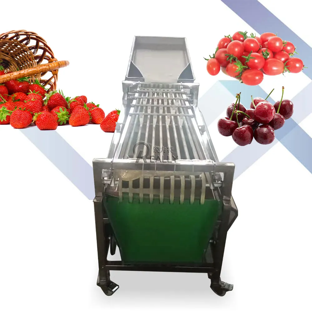 Oem Kersen Sorteermachine Roestvrij Staal Spoor Type Fruit Knoflook Grader Machine Aardappel Wassen En Sorteren Verwerking Lijn