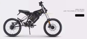 Motocicleta Eléctrica Todoterreno de 48V 3000W 40Ah con Suspensión Completa, Cuadro de Acero de 29 Pulgadas, Motor Central de 11kw - Product Image 6