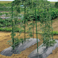 Tiges de tuyaux en acier revêtues de plastique durables, piquets de jardin en métal, supports de plantes grimpantes
