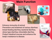 Piggy Health Powder Probiotics Supplement Intestinal Digestion Swine Growth Intestinal Stomach Modifier