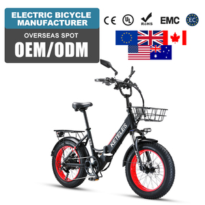 Bicicleta Plegable OEM al por Mayor de 20 Pulgadas, 7 Velocidades, Neumático Ancho de Aluminio, Bicicleta Eléctrica con Cesta Delantera y Portaequipajes Trasero, Entrega Electrónica KS9 de 20 Pulgadas Plegable - Product Image 2
