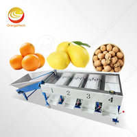 Orme Ui Verse Citroen Sinaasappel Sorteermachine Aardbei Appelwasmachine En Grade Machine