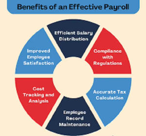 Plataforma de Software Moderna de Estilo 3D para el Control de Asalarios y Archivo de Impuestos para MAC/Linux, Uso Empresarial Basado en Internet - Product Image 3