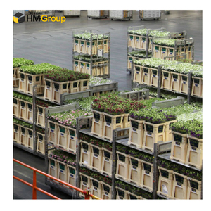 Serre personnalisée CC Pépinière Revêtement en poudre rose Vente aux enchères Stockage personnalisé Transport Chariots néerlandais pour fleurs - Product Image 5