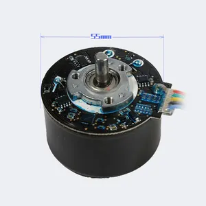 PrimoPal individueller 12-24 V 35 W 40 W permanentmagnet-aktuator mit niedriger Geschwindigkeit Mini kleiner BLDC-Motor