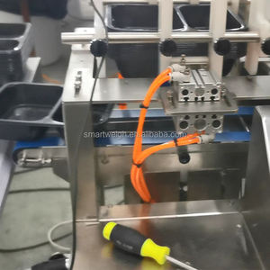 <span class=keywords><strong>Machine</strong></span> d'emballage automatique pour plateaux de viande congelée (steaks) avec peseuse combinée linéaire à bande - Product Image 4