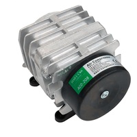 Ozocenter Compresseur d'air électrique portable mini 220/110V ACO-208