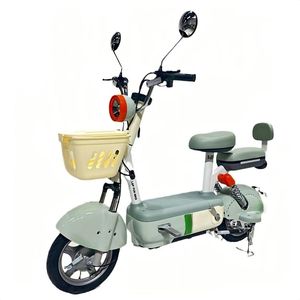 2024 Vélo cargo électrique à 2 roues avec moteur de moyeu arrière 250W Batterie au lithium 60V 48V Capacité de 150kg Écran LCD pour adultes - Product Image 1