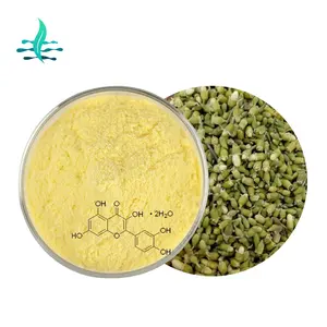 Nhà máy cung cấp tự nhiên Sophora Japonica chiết xuất quercetin 95% 98% quercetin dihydrate