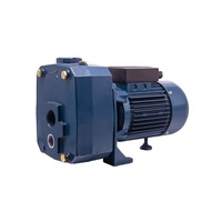RUIQI usine DP370 pompes à eau de puits profond à jet submersible 1HP 2HP tête haute 0.75kW moteur pompe de surface pression meilleur prix