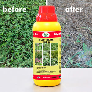Glyphosate 480 g/L SL, Herbicide au glyphosate 41 %, Désherbant systémique efficace au glyphosate (sel d'ammonium isopropyle) - Product Image 2