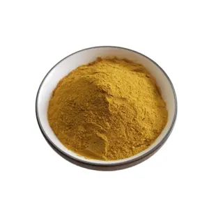 Factory supply sea buckthorn powder bulk seabuckthorn flavone high quality sea buckthorn extract