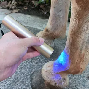Rood Licht Dierenarts Therapie Apparaat Voor Paarden Blauw Licht Nabij Infrarood Pijntherapie Licht Lichaam Toorts