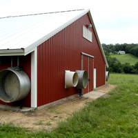 Structure en acier haute résistance, isolée thermiquement, résistante au vent et aux tremblements de terre, poulailler moderne préfabriqué