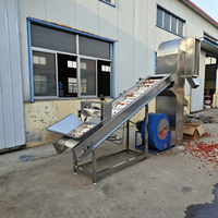 Industriële luchtselectie-apparatuur, volautomatische zeefmachine voor het sorteren en verwerken van bonen, chilipepers, noten en gedroogd fruit