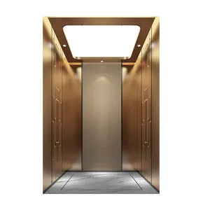 Лифт Foshan для 5 человек, лифт из нержавеющей стали, роскошный бизнес лифт, сделано в Китае