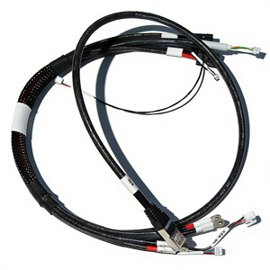 맞춤형 배선 하네스 케이블 어셈블리(다중 커넥터 포함) |   USB / 플러그 / 터미널 OEM - Product Image 1