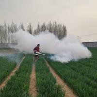 Machine à brouillard thermique, différents modèles, pulvérisateur de fumée électrique, vaporisateur anti-moustiques
