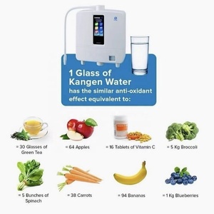 FC1 Waterfilterpatroon Japan Elektrolyse Watermachine Origineel Geïmporteerd Aanrechtmodel Waterstofrijk Water K8/SD501/JR11 - Product Image 3