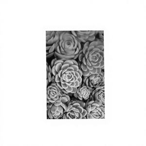 Cadre photo ultra-premium de luxe en alliage d'aluminium finition mate, écologique et durable, pour affichage sur table ou mural, style moderne et minimaliste - Product Image 1