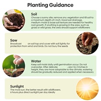 26-Mix annuel vivace sauvage fleur jardin sac de truie paquet plante Kit attirer les papillons oiseaux abeilles avec des fleurs en vrac