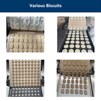 Machine automatique de fabrication de biscuits Damatic, petite ligne de production de biscuits sandwich, moulage et traitement