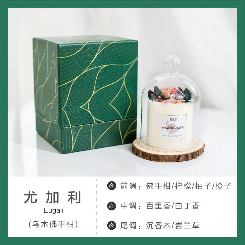 04ยูคาลิปตัส-มะเกลือมะกรูด