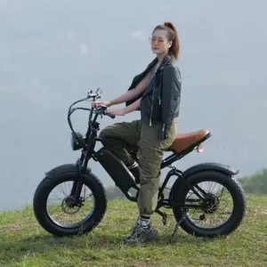 EU USA Auf Lager Steuerfrei 20*4,0 Zoll Fat Tire E-Bike Velo Electrique Pliant 1000W 50 km/h Moped E-Bike Electric Fatbike