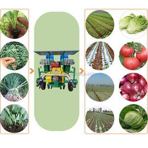 Machine à planter automatique de <span class=keywords><strong>semis</strong></span>, 2 rangs, poussée manuelle, planteuse de graines de légumes, d'oignons, planteuse de <span class=keywords><strong>semis</strong></span> - Product Image 6