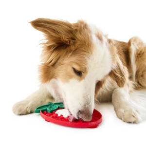 Tapis de léchage pour animaux de compagnie en silicone 100% alimentaire, écologique, résistant au lave-vaisselle, de forme irrégulière et mignon - Product Image 6