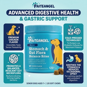 Suplemento Probiótico para la Flora Intestinal de Perros Mayores, Masticables Blandos para el Apoyo Gástrico, Salud Digestiva y Equilibrio Intestinal, 120 Unidades, Marca Privada - Product Image 1