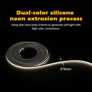 Prix fabricant - Bande LED flexible blanc chaud neutre, intérieur et extérieur, étanche IP65, 12v24v, néon LED flexible - Product Image 4