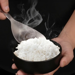 Cuchara de arroz de acero inoxidable 304, cuchara de cocina gruesa de mango largo, vajilla multiusos, cucharas para servir Buffet, vajilla de cocina - Product Image 3