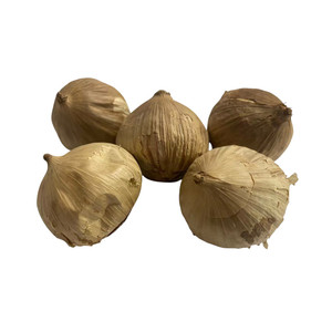 <span class=keywords><strong>Ail</strong></span> <span class=keywords><strong>noir</strong></span> séché Solo <span class=keywords><strong>de</strong></span> nouvelle saison à bon prix, fermenté naturellement, doux, aux <span class=keywords><strong>bienfaits</strong></span> santé, disponible en 250g et 500g - Product Image 1