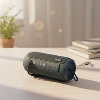 Enceinte portable sans fil TG227 étanche avec basses puissantes pour camping extérieur, faible MOQ, marque privée, livraison rapide en 7 jours, vente en gros