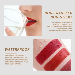 Vente en gros imperméable Ochain avec logo Peach Rose Makeup Liquid Lipstick