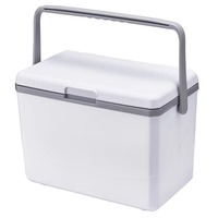 Glacière isotherme de camping 3L 5L de haute qualité à bas prix en PP pour pique-niques en extérieur et canettes