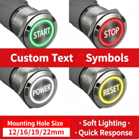 Interrupteur à bouton-poussoir en acier inoxydable 16 mm 22 mm, momentané ou à enclenchement, avec symbole personnalisé, éclairage LED, étanche, montage sur panneau