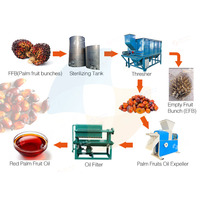 2024 Nieuwe 300 Kg/u-2Tph Palmolie Persmachine Fabriek Ruwe Palmolie Productielijn Palmolie Raffinaderij Machine Fabriek