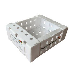 XS, S, M, L Fabricante al por mayor ecológico PP corrugado hueco plástico plegable caja móvil para frutas y verduras - Product Image 5