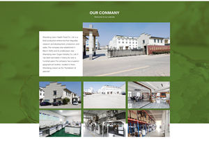 Thé à saveur <span class=keywords><strong>de</strong></span> Offre Spéciale <span class=keywords><strong>menthe</strong></span> instantanée <span class=keywords><strong>miel</strong></span> citron gingembre boisson au gingembre-plusieurs options disponibles - Product Image 6