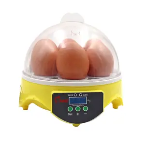 110V With Electronic Display Automatic Chicken Egg Incubator Egg Incubators for Chickens Incubators Hatching Eggs