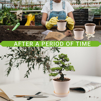 Set Pemula Berkebun Dalam Ruangan, Menanam Bunga Ramah Lingkungan, Pot Bunga Modern Kreatif, Kotak Hadiah Ulang Tahun