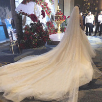 Voile de mariée élégant de 3,5 m, voile de cérémonie long pour fille, voile de mariée scintillant et exquis en tulle doux avec des points argentés pour voiles de mariée