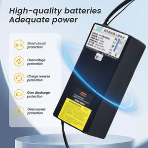 รถเข็นหุ่นยนต์ไฟฟ้าแบตเตอรี่ลิเธียมไอออน24V 36V 48V 60V 72V - Product Image 6