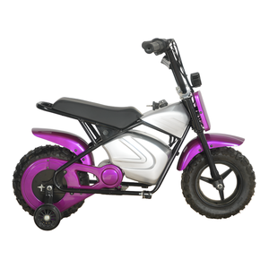 MAXSPEED 250DH Vélo Électrique Mini <span class=keywords><strong>Pocket</strong></span> <span class=keywords><strong>Bike</strong></span> 36V 500W à Moteur à Balais, Vente en Gros, pour Enfants, Entraînement en Extérieur, Roues Optionnelles, Débutant - Product Image 3