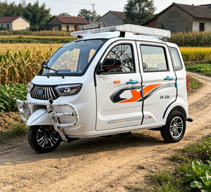 Motocicleta de Tres Ruedas con Cabina Cerrada <span class=keywords><strong>para</strong></span> Pasajeros, Scooter <span class=keywords><strong>para</strong></span> Personas Mayores, Vehículo <span class=keywords><strong>para</strong></span> Discapacitados, 3 Pasajeros, 110cc, Nuevo Estándar Nacional - Product Image 2