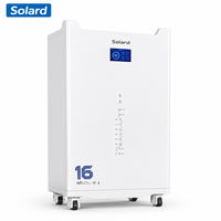 Batterie Lithium Fer Phosphate Hybride Extérieure 16 kWh 51,2 V 314 Ah Solaire Intelligente Wi-Fi Empilable 8000 Cycles Fiable