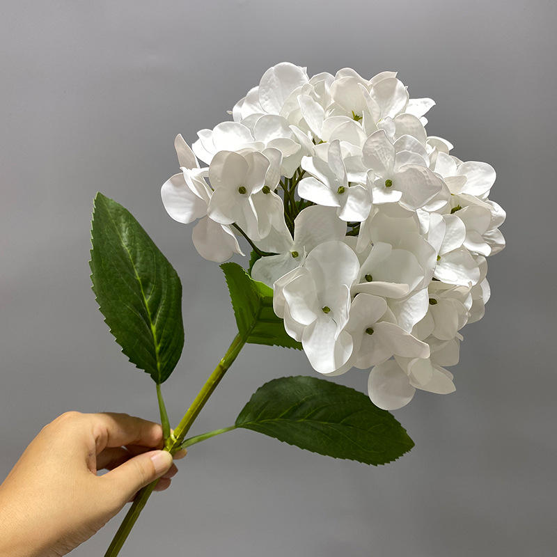 Hortensia blanc, une seule tête, 80 cm